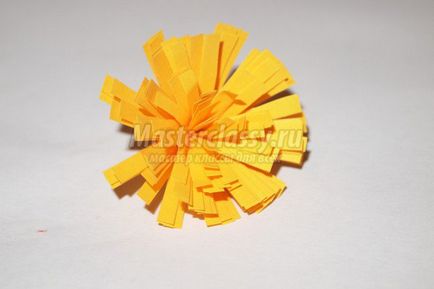 Quilling flori