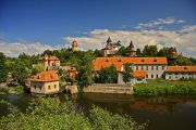 Parc amenajat, bușteni