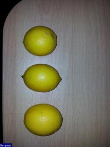 Lemon Meyer - grădină și grădină de legume pe fereastră - forum pe (lamaie) Lemon Meyer - grădină și grădină de legume pe fereastră - forum pe