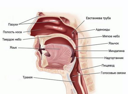 Fripturi false la copii simptome, cauze, tratament și remedii populare, primul ajutor