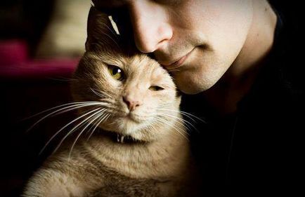 Cele mai bune calități ale bărbaților care iubesc pisicile