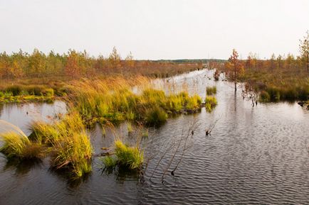 Път и околностите Narach