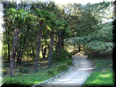 Parcul Massandra din Yalta (Crimeea) fotografie cum să obțineți, descriere