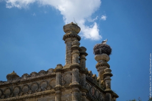 Palatul maur sub o Odesa (blocarea găinilor), vka