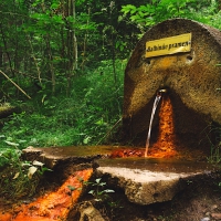 Izvoarele minerale din Mariánské Lázně - ceea ce vindecă