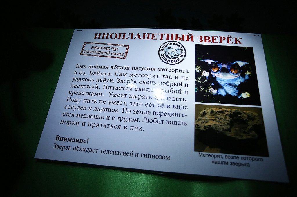 Mutanți și extratereștri s-au stabilit în centrul orașului Novosibirsk
