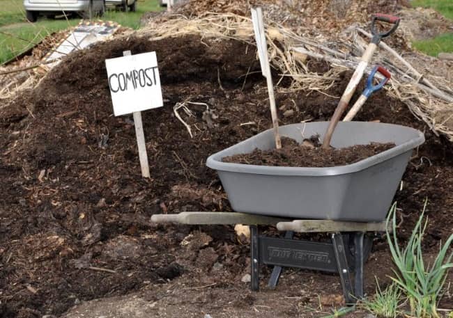 Gunoiul este îngrășământ organic, tehnologie de cultivare (organică) Gunoiul - îngrășământ organic, tehnologii de cultivare