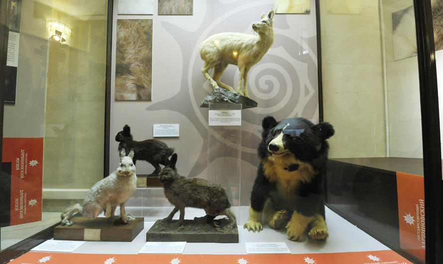 Один на 10 тисяч дарвінівський музей показує незвичайних звірів