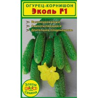Огірок-салатний Сафа f1