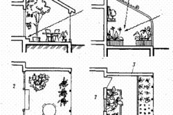 Pálmaház a házban - egy igazi sarokban a vadon élő állatok (Area) Pálmaház a házban - egy igazi sarkában élővilág