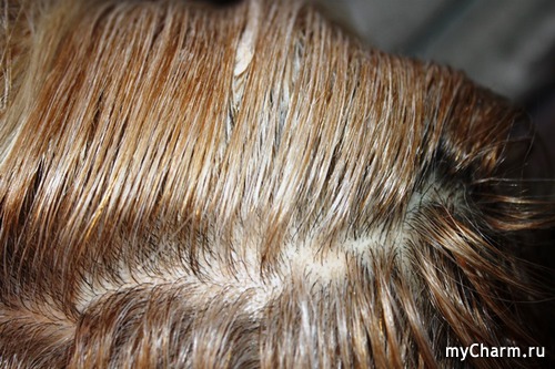 Освітлення волосся швидко і професійно з decolorvit - selective professional decolor vit plus