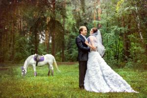 Rapoarte privind nunțile, Perm - pagina 47