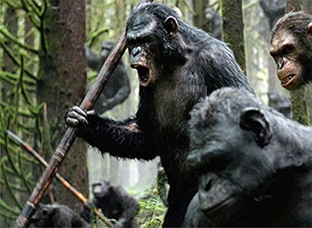 Чому люди і шимпанзе вбивають собі подібних
