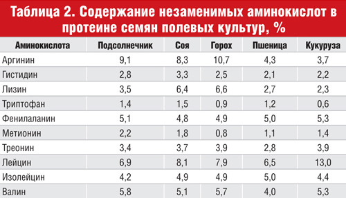 Floarea soarelui pentru cofetarii (despre soiurile de produse de patiserie din floarea-soarelui), cereale