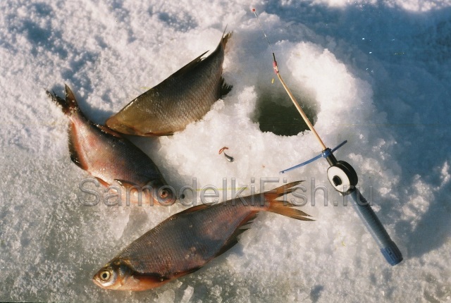 Polisztirol ráz - házi halászati ​​kezük