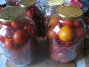 Tomatele, conservate cu coacăze roșii, sunt delicioase!