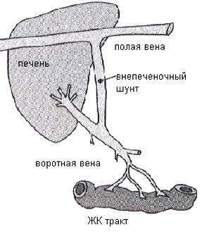 Schimbări portosisteme