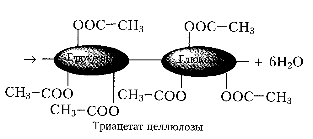 Практичного заняття № 03