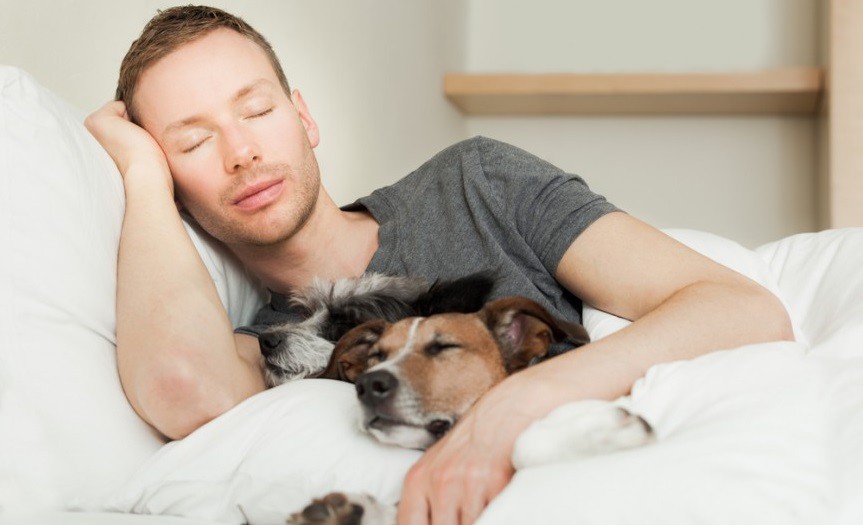Правильне положення тіла під час сну - в якій позі краще спати