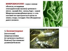 Prezentare pe această temă - microbiologie - în medicină