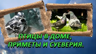 Прикмети в день святого Миколая 22 травня