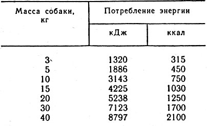 Étrend 1992 Mr. Vlasov (állami gyári állapot) Étrend 1992 Mr. Vlasov