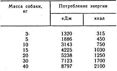 Раціони харчування тисяча дев'ятсот дев'яносто два уласов н