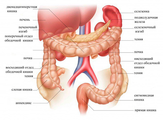 Simptomele și tratamentul simptomelor cancerului sigmoid