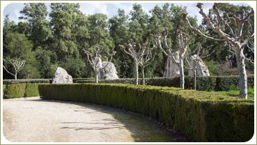 Paradise Garden of Eden, design peisagistic de grădini și parcele