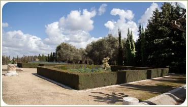 Paradise Garden of Eden, design peisagistic de grădini și parcele