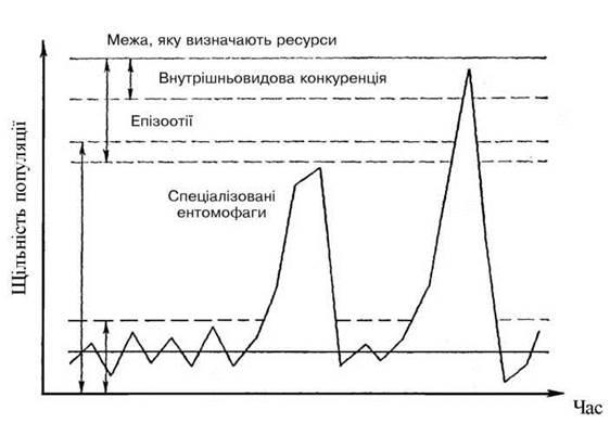 Reglementarea populației - elementele de bază ale ecologiei populației