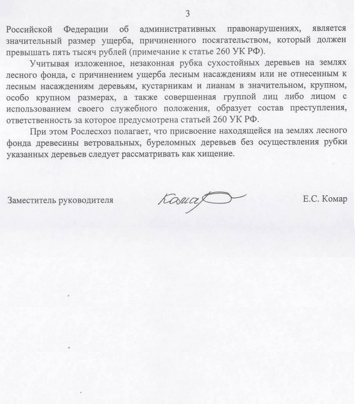 Рослесхоз роз'яснив, що рубка сушняка і привласнення ветровального і буремні деревини - це