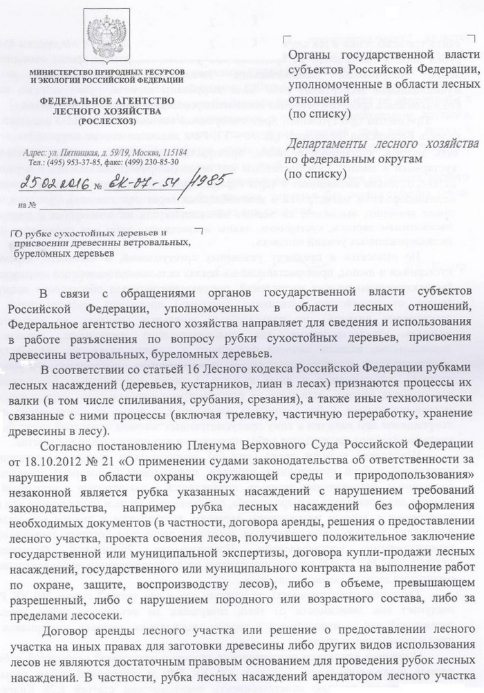 Рослесхоз роз'яснив, що рубка сушняка і привласнення ветровального і буремні деревини - це