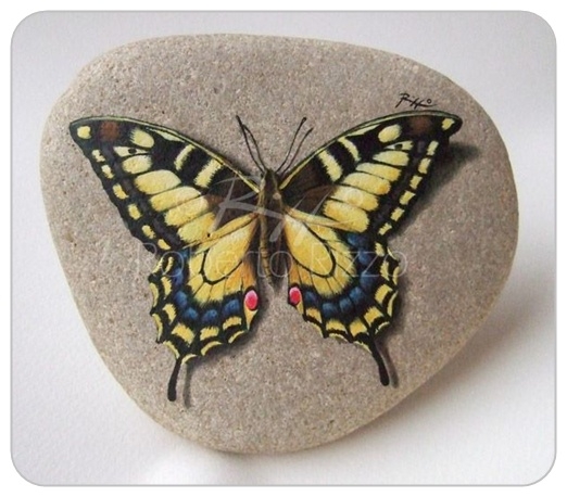 Pictura pe pietre - secretele fluturilor și picăturilor vii din roberto riszo și mauricio mare