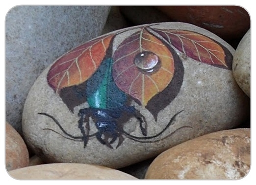 Pictura pe pietre - secretele fluturilor și picăturilor vii din roberto riszo și mauricio mare