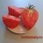 Рожевий фламінго, все про помідори (томати) - відео, фото, відкличу