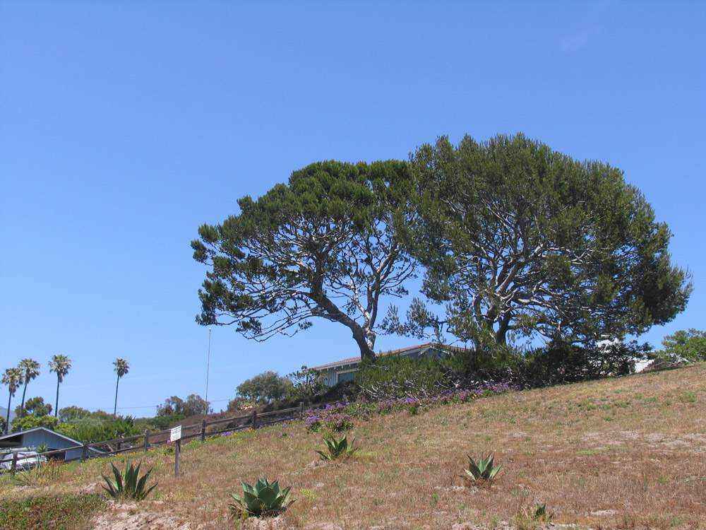 Santa Monica și Malibu într-o zi în Los Angeles (California, SUA), santa monica, malibu