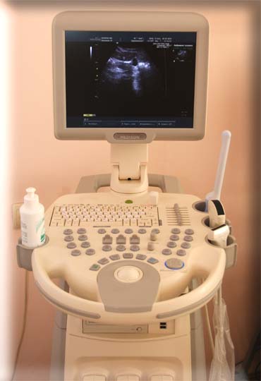Faceți ultrasunete în diagnosticul profesional cu ultrasunete vladimir