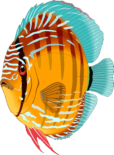 Шаблони рибок для малювання - домашній hand-made