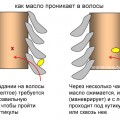 Шоколадне обгортання для відновлення волосся