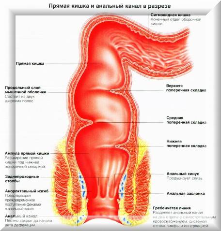 Inflamația colonului sigmoid și tratamentul colonului sigmoid