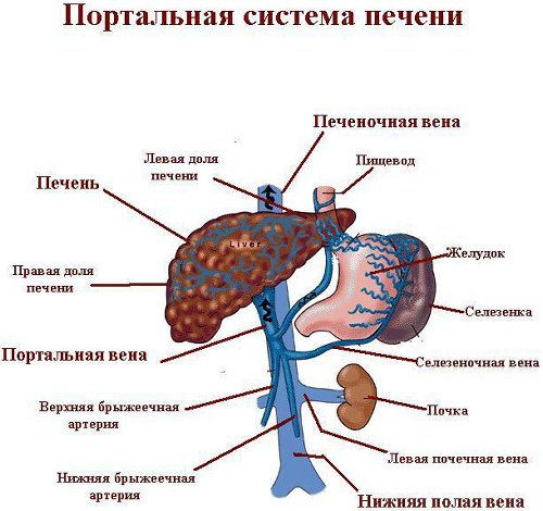 Синдром Бадда Кіарі