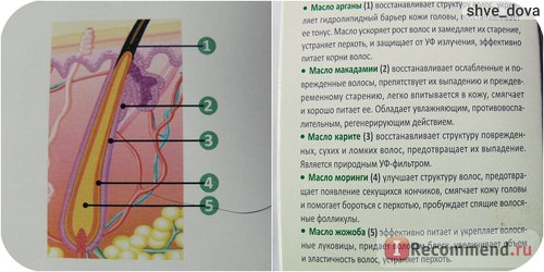 Сироватка для волосся compliment 5oils інтенсивна проти випадіння - «ця сироватка вірний засіб