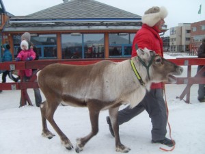 Cu modelul scandinav, știri paralele