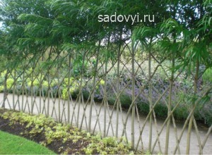 Створення живоплоту, арок і альтанок з верби, облаштування заміського будинку і ділянки своїми