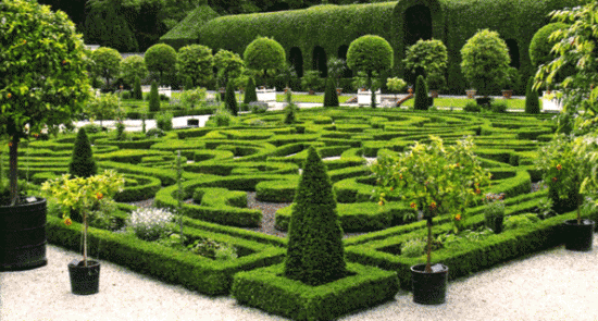 Середземноморський сад - незвичайна стилістика вашої ділянки