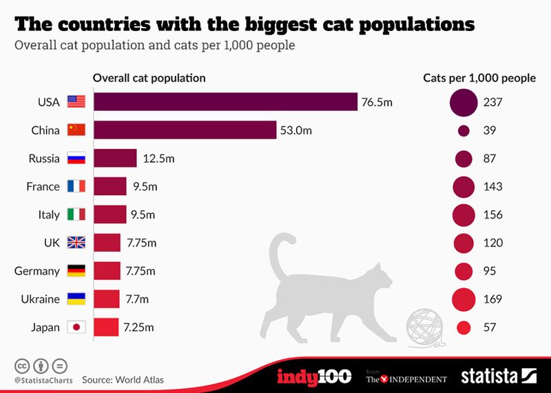 Țări în care majoritatea pisicilor domestice trăiesc în povesti