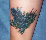 tetoválás béka