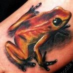 Frog Tatuaj Semnificație