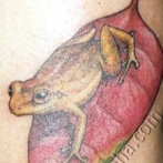 Frog Tatuaj Semnificație